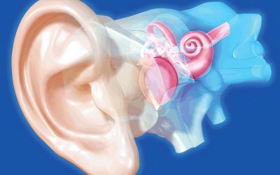 Osteoporosis and Hearing Loss