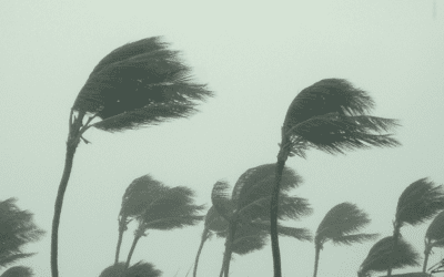 Wind Noise Reduction is a Breeze